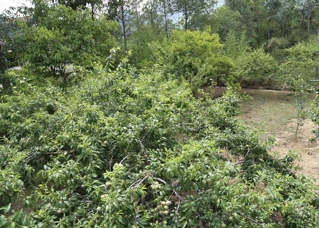Sa House Bac Ha Apartment Luaran gambar
