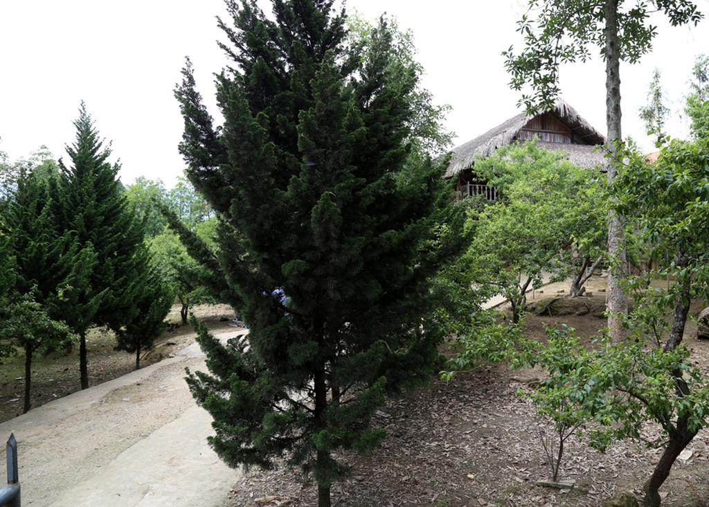 Sa House Bac Ha Apartment Luaran gambar