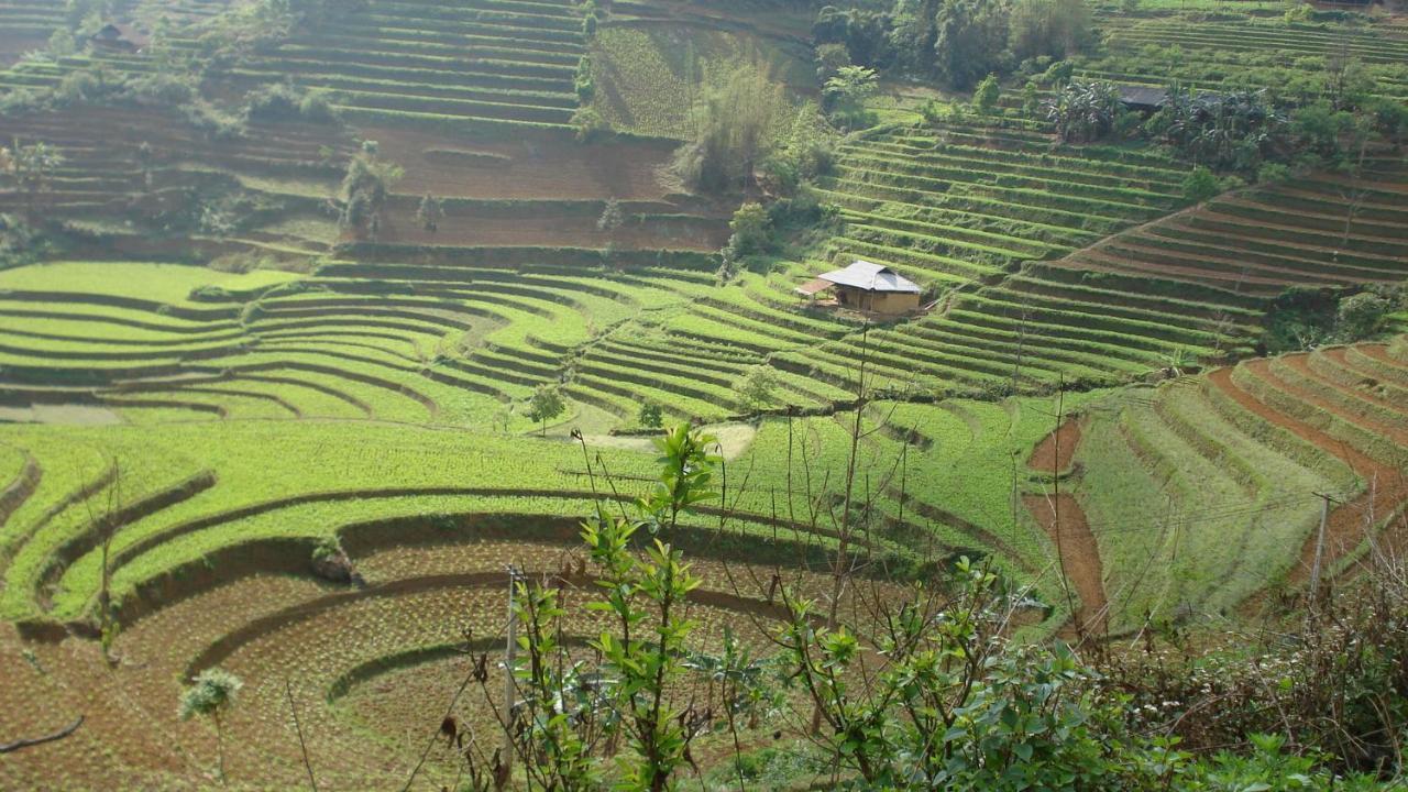 Sa House Bac Ha Apartment Luaran gambar