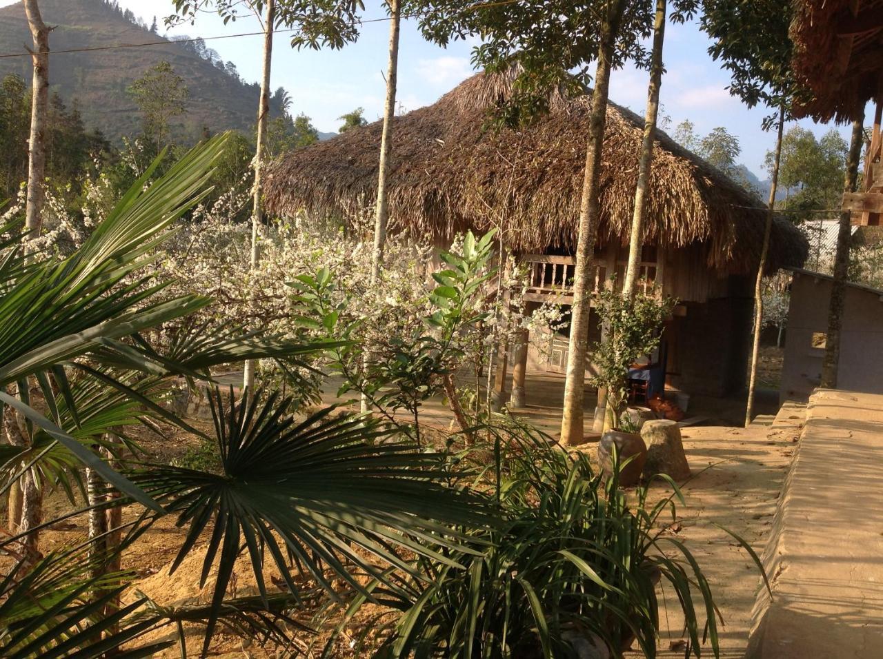 Sa House Bac Ha Apartment Luaran gambar