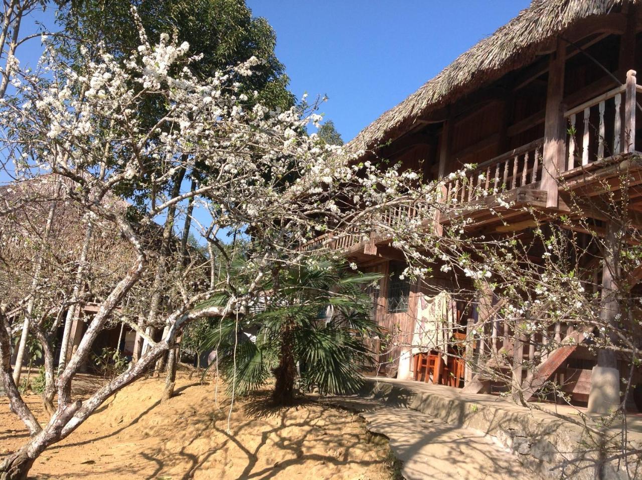 Sa House Bac Ha Apartment Luaran gambar