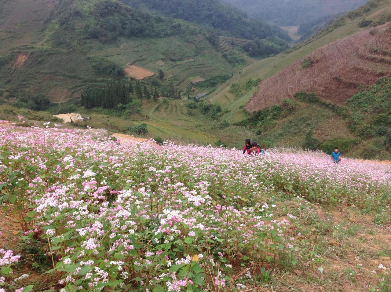 Sa House Bac Ha Apartment Luaran gambar