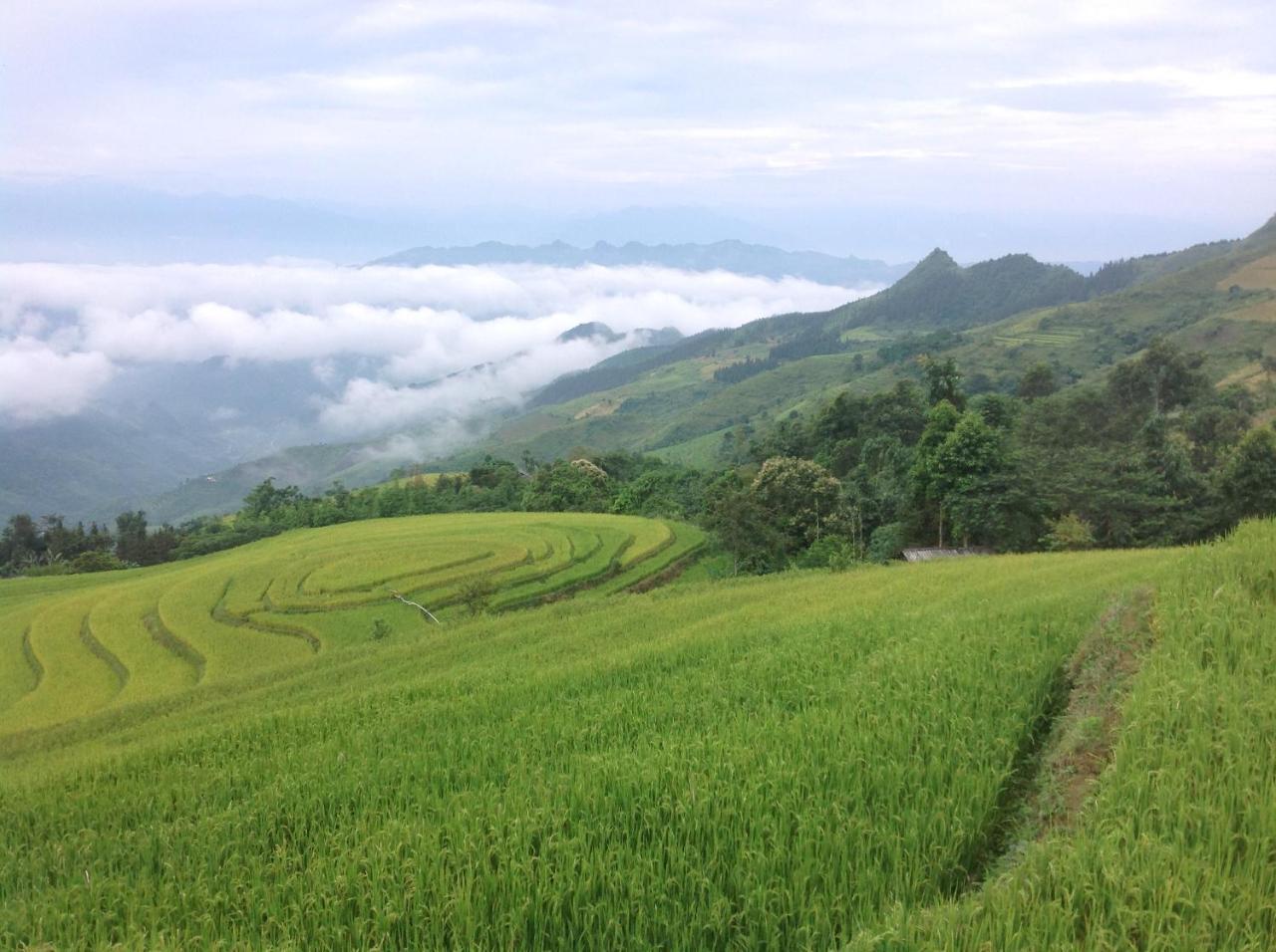 Sa House Bac Ha Apartment Luaran gambar