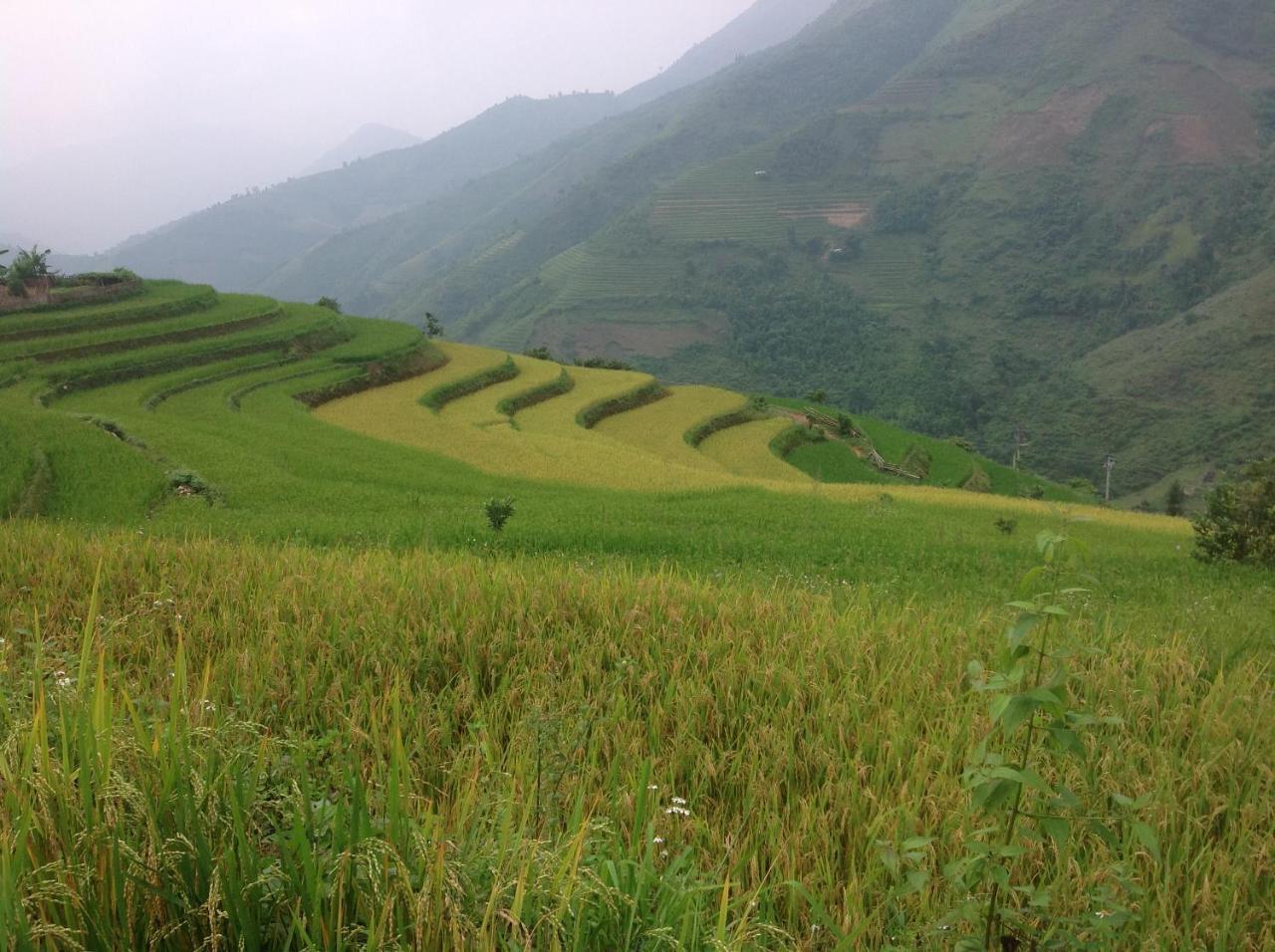 Sa House Bac Ha Apartment Luaran gambar