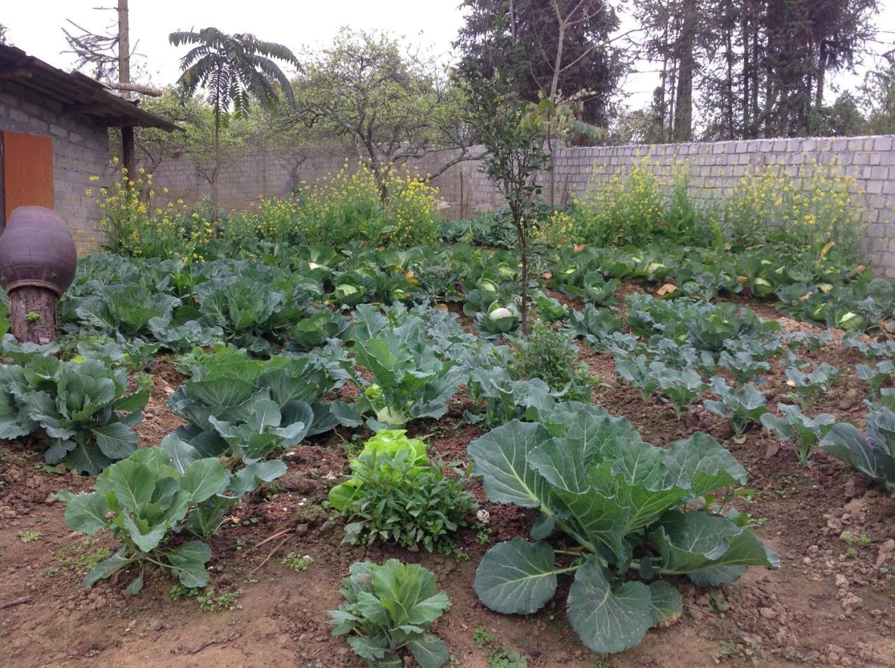 Sa House Bac Ha Apartment Luaran gambar