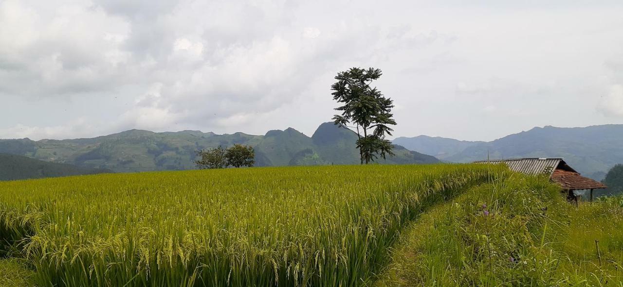 Sa House Bac Ha Apartment Luaran gambar