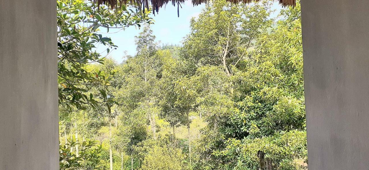 Sa House Bac Ha Apartment Luaran gambar